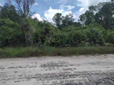 115 W Canal Way NE, Lake Placid, Florida 33852, Estados Unidos