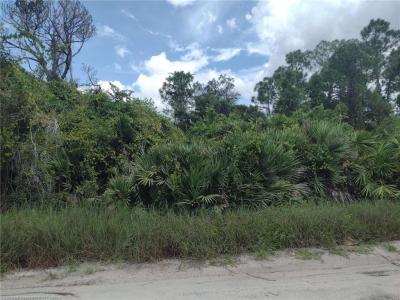 115 W Canal Way NE, Lake Placid, Florida 33852, Estados Unidos