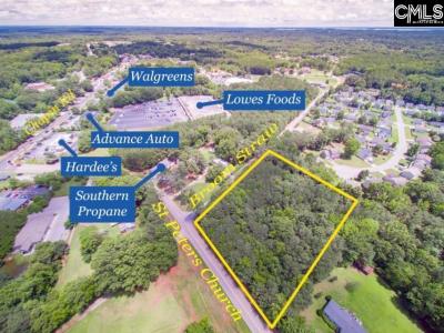 1-B Saint Peters Church Road, Chapin, SC 29036, USA