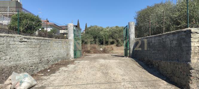 CONTRADA RACCOMANDATA, Misterbianco, Sicilia 95045, 이탈리아