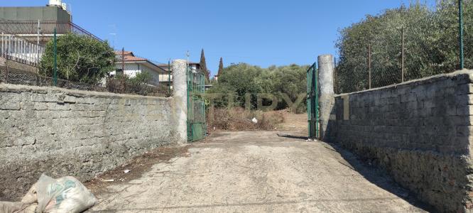 CONTRADA RACCOMANDATA, Misterbianco, Sicilia 95045, 이탈리아