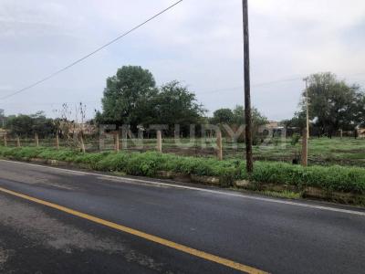 González Gallo s/n,, Arenal, Jalisco 45368, México