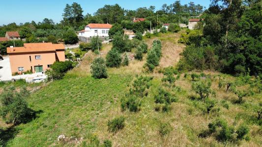 Ansião, Leiria 3240-410, Portugal