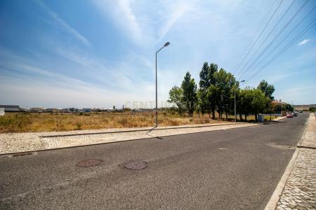 Cascais, Lisbon 2785-399, Portugal