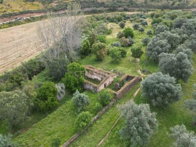 Almodôvar, Beja 7701-909, Portogallo
