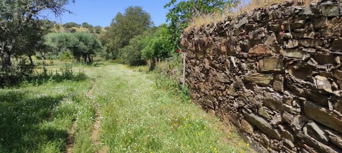 Almodôvar, Beja 7701-909, Portogallo