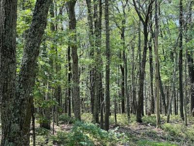 Lot 18 Hunczak Boulevard, Glen Spey, 纽约州 12737, 美国