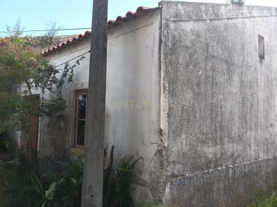 Soure, Coimbra 3130 - 122, Portugal
