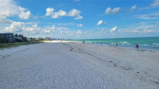 880 MANDALAY AVENUE C504, CLEARWATER, פלורידה 33767, ארצות הברית של אמריקה