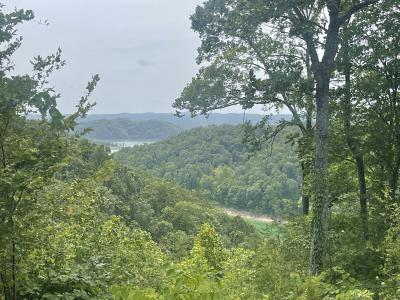 Lot 35 Sandstone Point, Monticello, Kentucky 42633, Stati Uniti
