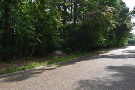 Lot #59 and 1/2 Lot 58 Mark Drive , Minden, Louisiana 71055