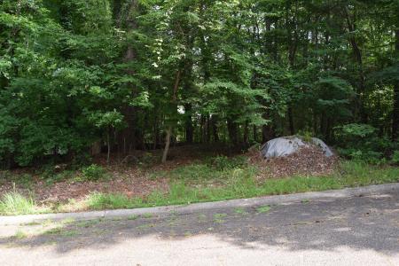 Lot #59 and 1/2 Lot 58 Mark Drive , Minden, Louisiana 71055