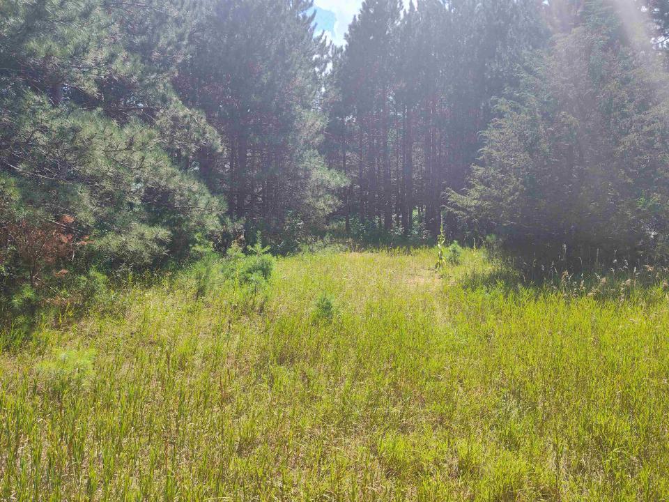 Lot 114 County Road Z, Arkdale, Wisconsin 54613