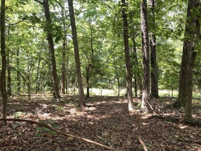 Summit Ridge Dr And Deer Run Rd, Ozark Acres, Arkansas 72482