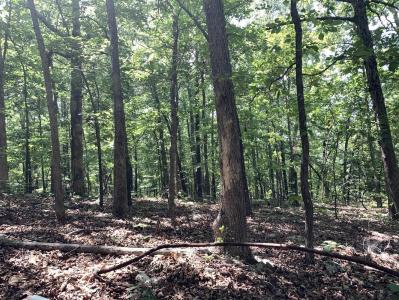 Summit Ridge Dr And Deer Run Rd, Ozark Acres, Arkansas 72482
