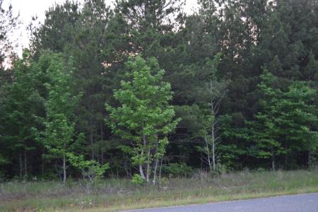 #1 Ryans Way, Minden, Louisiana 71055
