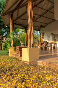 Tempate Santa Cruz, Guanacaste 00001, 哥斯達尼加