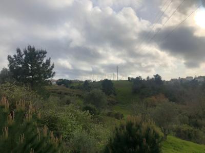 Sesimbra, Setubal 2970-208, Portugal