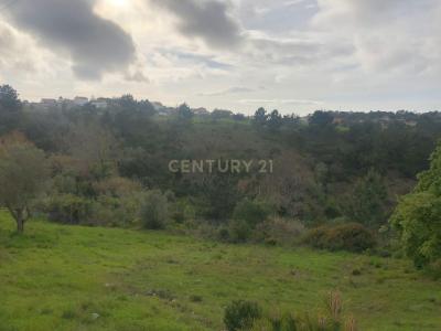 Sesimbra, Setubal 2970-208, Portugal