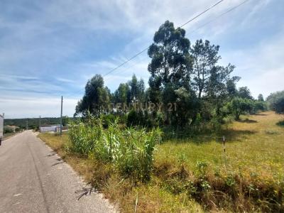 Salvaterra De Magos, סנטרם 2125, פורטוגל