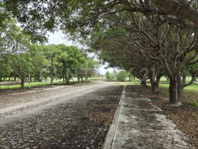 Residencial San German Cordoba Lote 85,, Colima, Colima 28090, Mexico