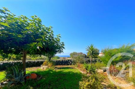 Monticello, Corse 20220, France