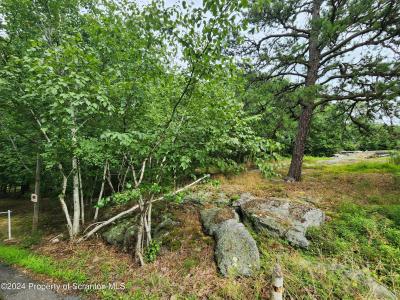 Lot A-1 Baldassari Drive, Dunmore, ペンシルベニア 18512, アメリカ合衆国
