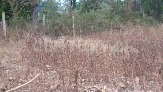 Tlalixtac de Cabrera S/N,, Tlalixtac De Cabrera, Oaxaca 68270, Mexique