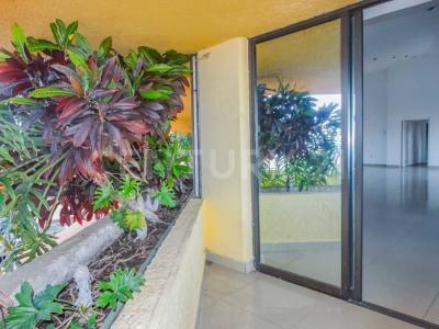 Cuernavaca, 莫雷洛斯 62050, 墨西哥