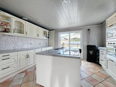 Rue de la Blanchisserie 19b, Châtelet, 6200, Belgien