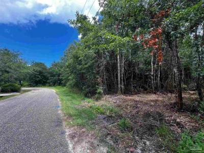 000A Fieldcrest St, Milton, Florida 32583