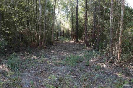 000A Fieldcrest St, Milton, Florida 32583