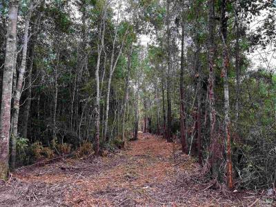 000A Fieldcrest St, Milton, Florida 32583, USA