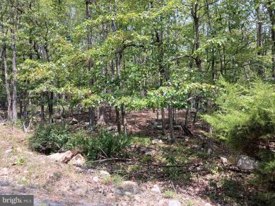 Lot 11 Pendragon Court, Paw Paw, Virgínia Ocidental 25434, Estados Unidos