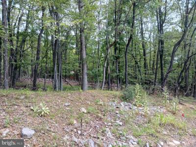 Lot 11 Pendragon Court, Paw Paw, Virgínia Ocidental 25434, Estados Unidos