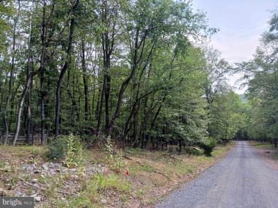 Lot 11 Pendragon Court, Paw Paw, Virgínia Ocidental 25434, Estados Unidos