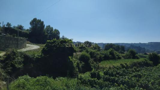 Amarante, Porto 4615-203, Bồ Đào Nha