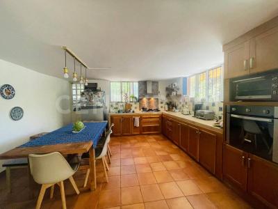 zona 12 parcela 889,, Río Verde, San Luis Potosi 79617, Mexique