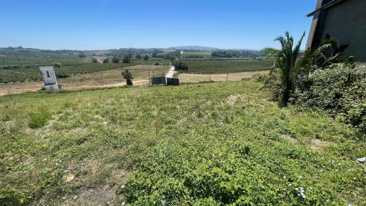 Bombarral, Leiria 2540-000, Portugal