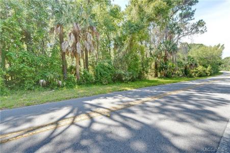 N Tallahassee Road, Crystal River, Florida 34428, Estados Unidos