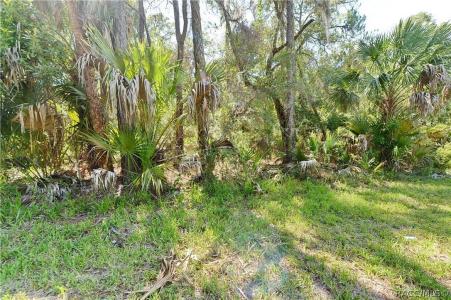 N Tallahassee Road, Crystal River, Florida 34428, Estados Unidos
