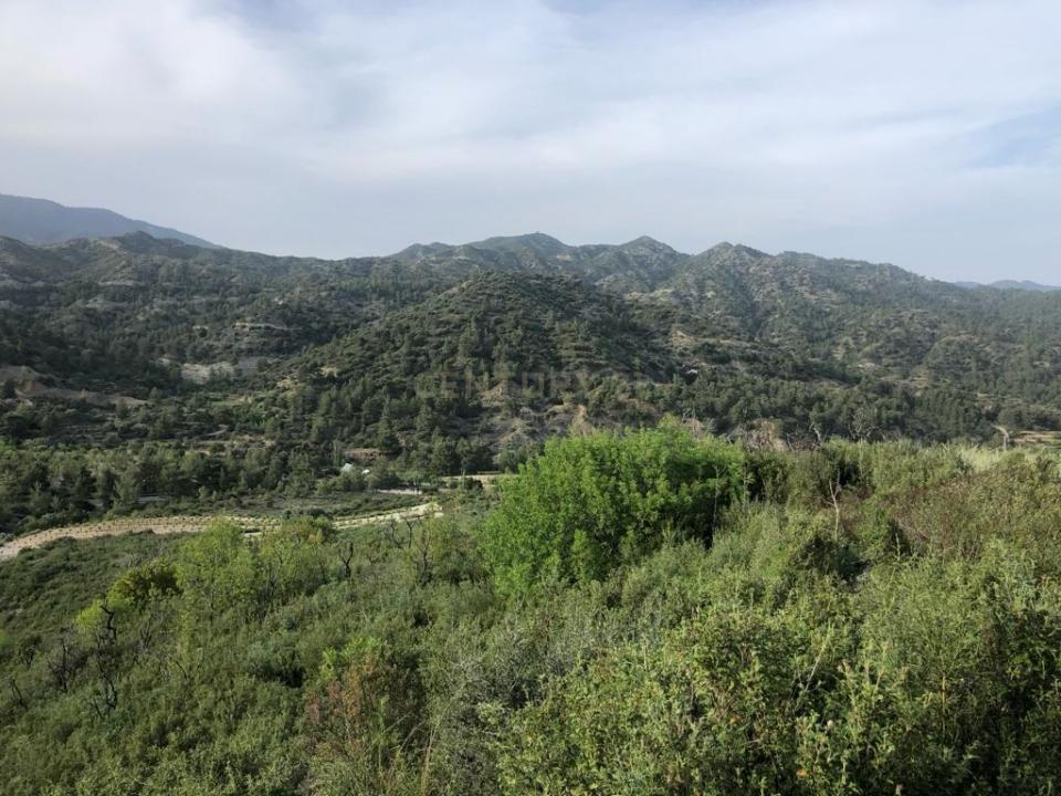 Trimiklini, 4730, Cyprus
