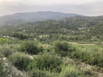 Trimiklini, 4730, Cyprus