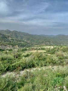 Trimiklini, 4730, Cyprus