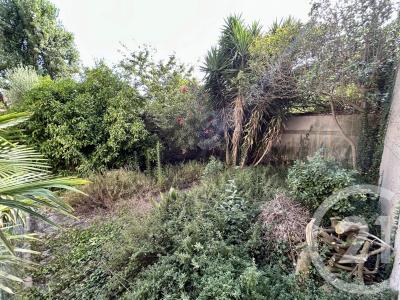 Frontignan, Languedoc-Roussillon 34110, Francia