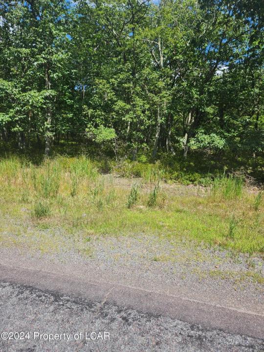 Lot 078 Buttonbush Lane, Hazle Twp, 宾夕法尼亚州 18202, 美国