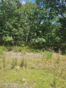 Lot 078 Buttonbush Lane, Hazle Twp, 宾夕法尼亚州 18202, 美国
