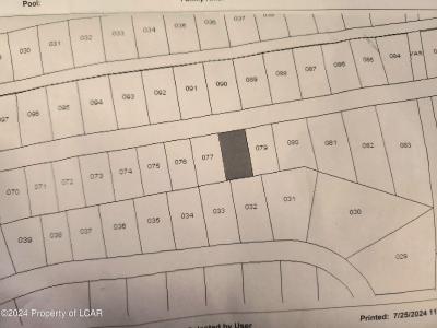 Lot 078 Buttonbush Lane, Hazle Twp, 宾夕法尼亚州 18202, 美国