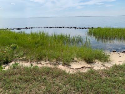 20160 Nanticoke Rd, Nanticoke, Maryland 21840, Stati Uniti