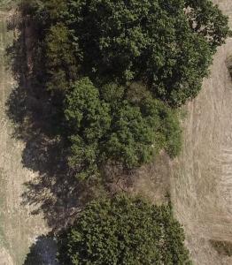 Tract 1 Lapington Road, Athens, אלבמה 35614, ארצות הברית של אמריקה 